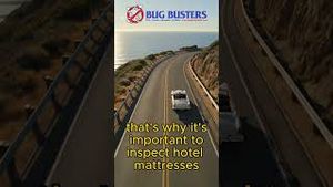 Video post by @bugbustersusa on YouTube