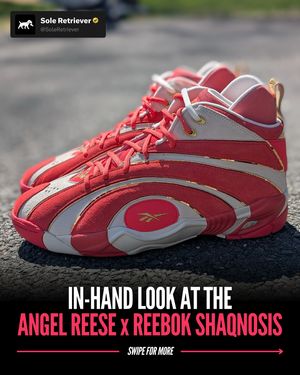 Image post by @soleretriever on Instagram