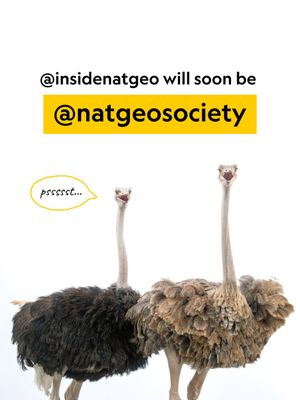Image post by @natgeosociety on Instagram