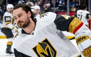 Image post by @puckempire on Twitter