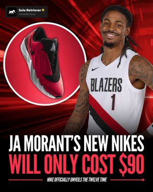 Image post by @soleretriever on Instagram