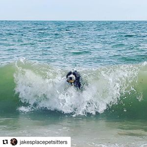 Image post by @candmclub on Instagram