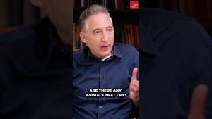 Video post by @worldsciencefestival on YouTube