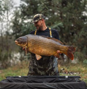 Image post by @brothercarp on Instagram