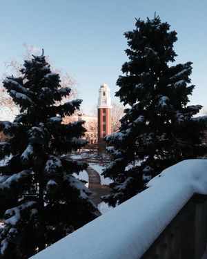 Image post by @olivetnazarene on Instagram