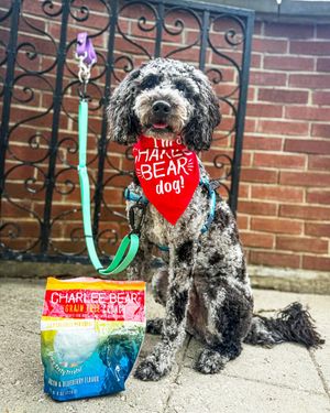 Image post by @charlee_bear_dogtreats on Instagram