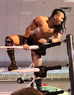 Image post by @dantechenwwe on Instagram