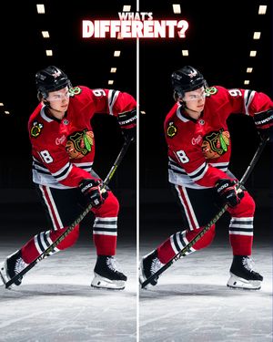 Image post by @hockeymonkey on Instagram