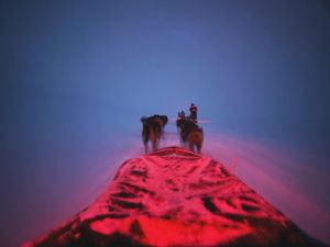 Image post by @paoloverzone on Instagram