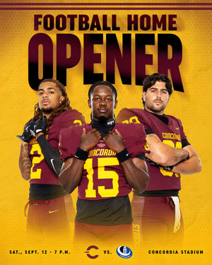 Image post by @the_stingers on Instagram