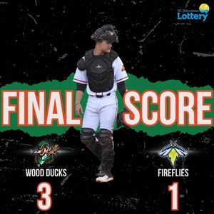 Image post by @gowoodducks on Instagram