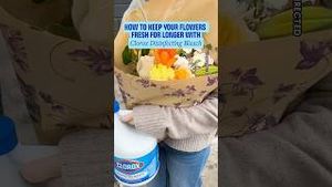 Video post by @clorox on YouTube