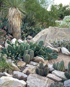 Image post by @ahs_gardening on Instagram