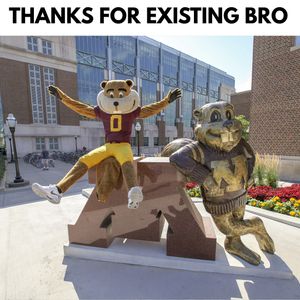 Image post by @barstoolgophers on Instagram