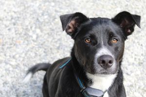 Image post by @awanitavalley on Instagram