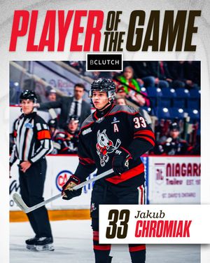 Image post by @ohlicedogs on Instagram