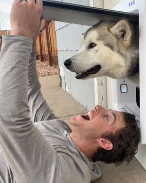 Image post by @hugo_themalamute on Instagram