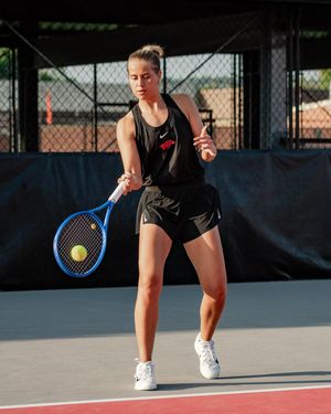 Image post by @razorbackwten on Instagram