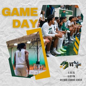 Image post by @tiffinuhoops on Instagram