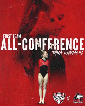 Image post by @Niugymnastics on Twitter