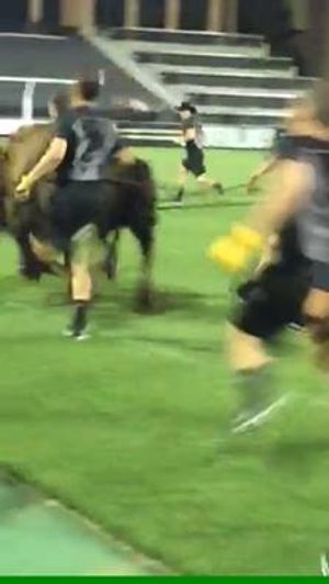 Image post by @cubuffsvb on Facebook