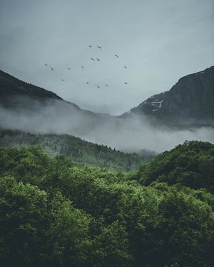 Image post by @kszczuka on Instagram