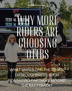 Image post by @theplaidhorsemag on Instagram