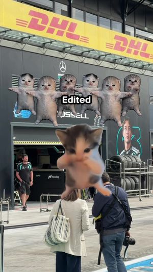 Video post by @mercedesamgf1 on TikTok