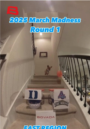 Video post by @aircorg on TikTok