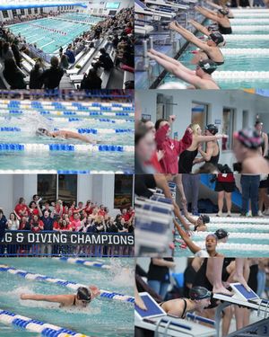 Image post by @duquesne_swim_dive on Instagram