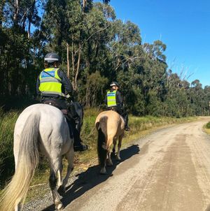 Image post by @victoriapolice on Instagram