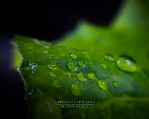 Image post by @lathanuelf_photos on Instagram
