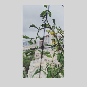 Image post by @raody_11 on Instagram