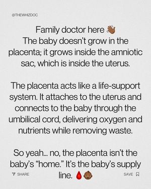 Image post by @thewhizdoc on Instagram