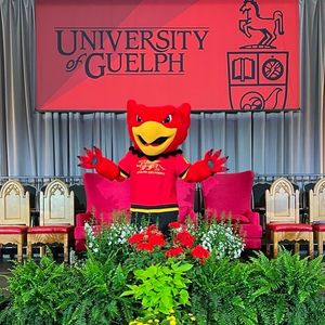 Image post by @gryphonsguelph on Instagram