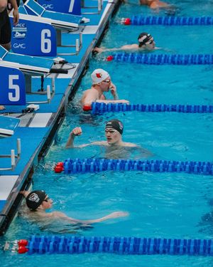 Image post by @packswimdive on Instagram