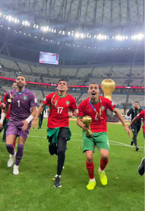 Video post by @fifaworldcup on TikTok