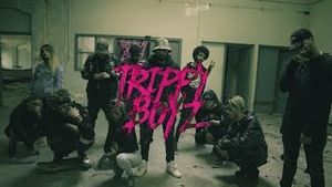 Video post by @trippyboyz on YouTube