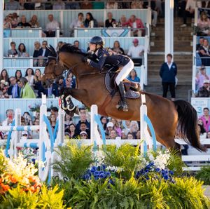 Image post by @usefnetwork on Instagram
