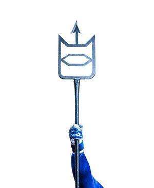 Image post by @DukeATHLETICS on Twitter