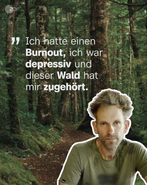 Image post by @zdf.de on Instagram