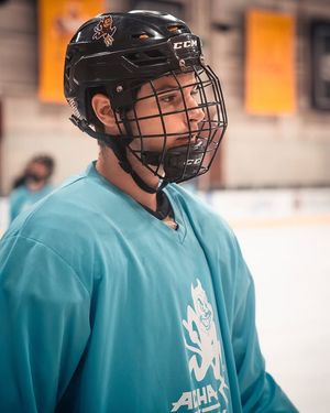 Image post by @sparkyhockeyd2 on Instagram