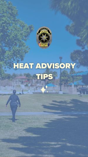 Video post by @cityoflasvegas on TikTok