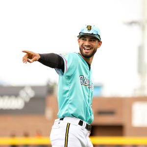 Image post by @saltlakebees on Instagram