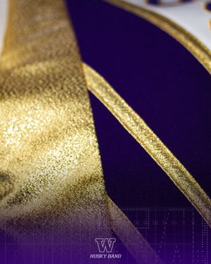 Image post by @huskyband on Instagram