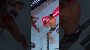 Video post by @ufc on YouTube