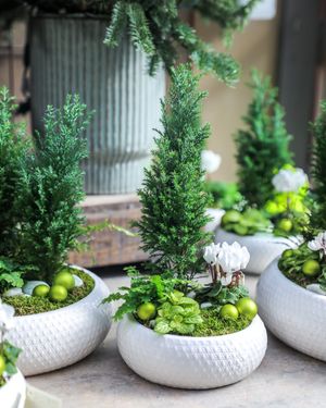 Image post by @rogersgardens on Instagram