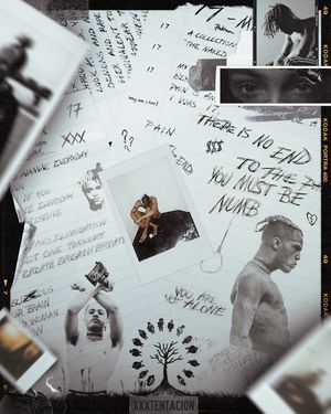 Image post by @rollingloud on Instagram