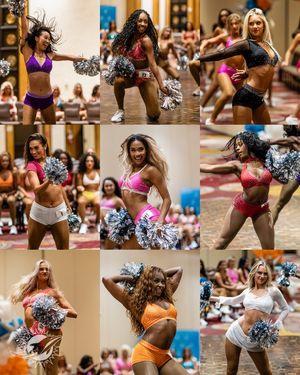 Image post by @dolphinscheer on Instagram
