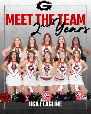 Image post by @ugaflagline on Instagram